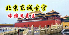 男人鸡吧插美女b黄片中国北京-东城古宫旅游风景区